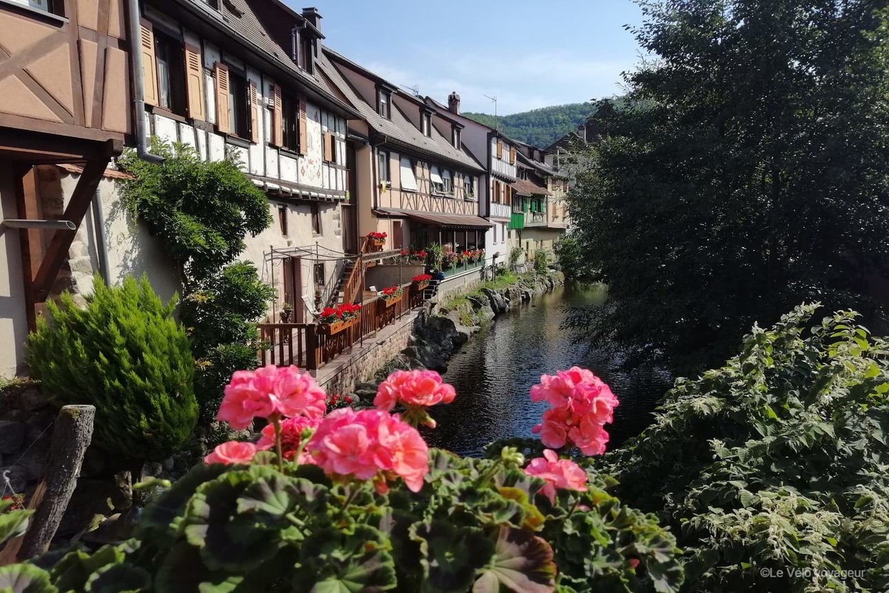 2-day bike tour around Colmar